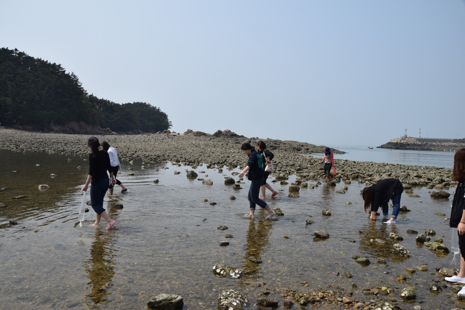 DSC_0626.jpg