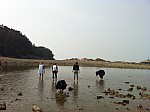 IMG_0740.jpg