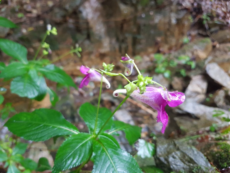 20160902_151852.jpg