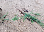 20160902_161741.jpg
