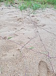 20160902_162031.jpg