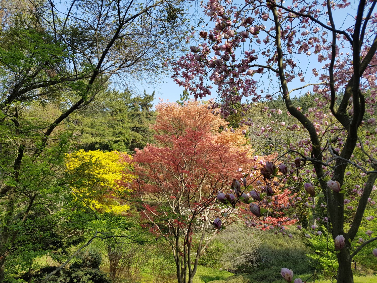 20160429_093024