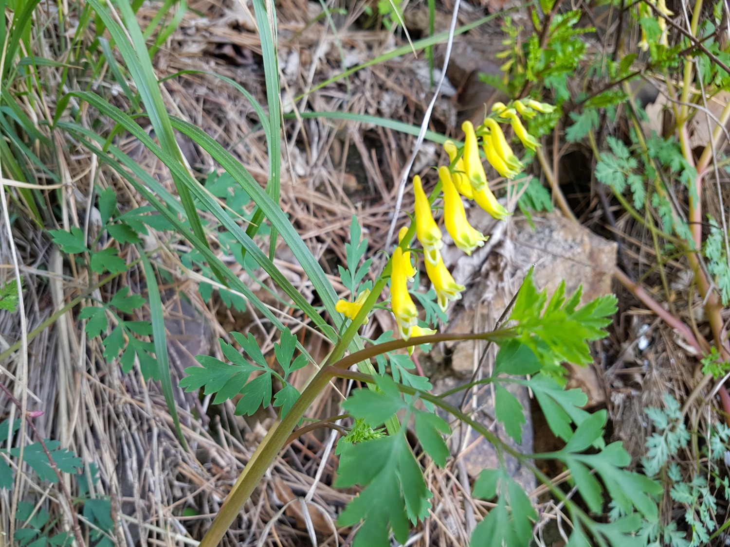 20160429_104245