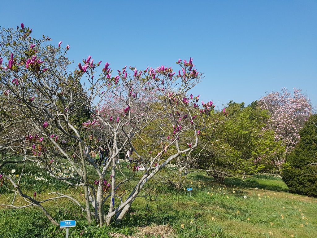 20170429_085935.jpg