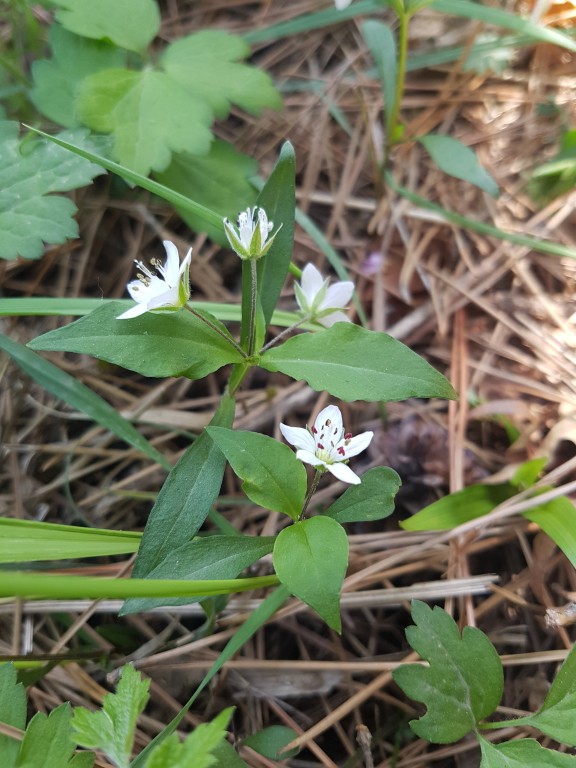20170429_091731.jpg