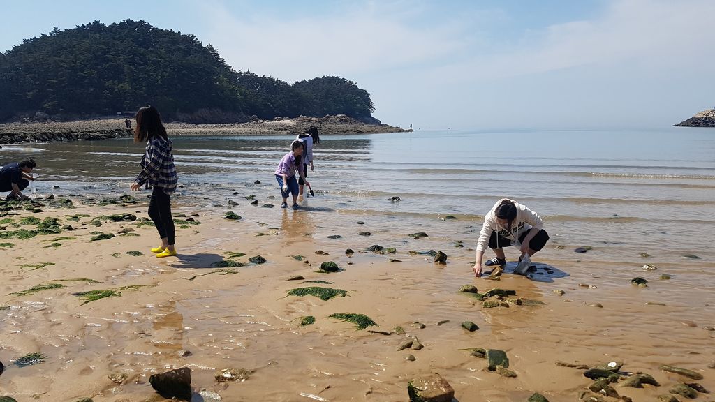 20190511_141052.jpg