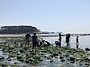 IMG_6390.JPG