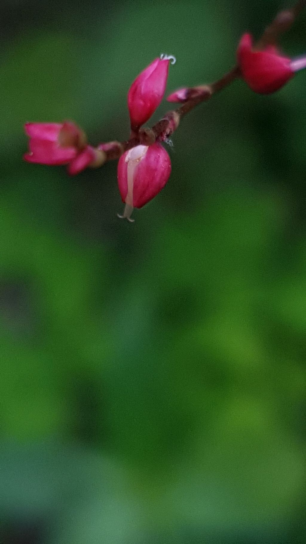 20190830_145102.jpg