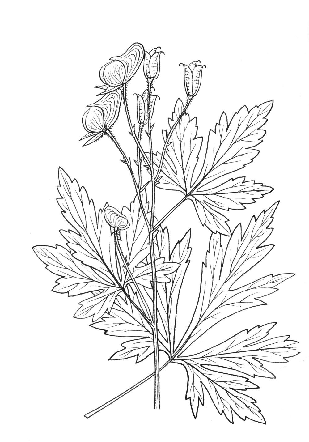 J0245.jpg