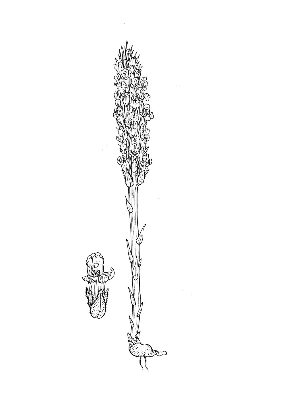 J1213.jpg