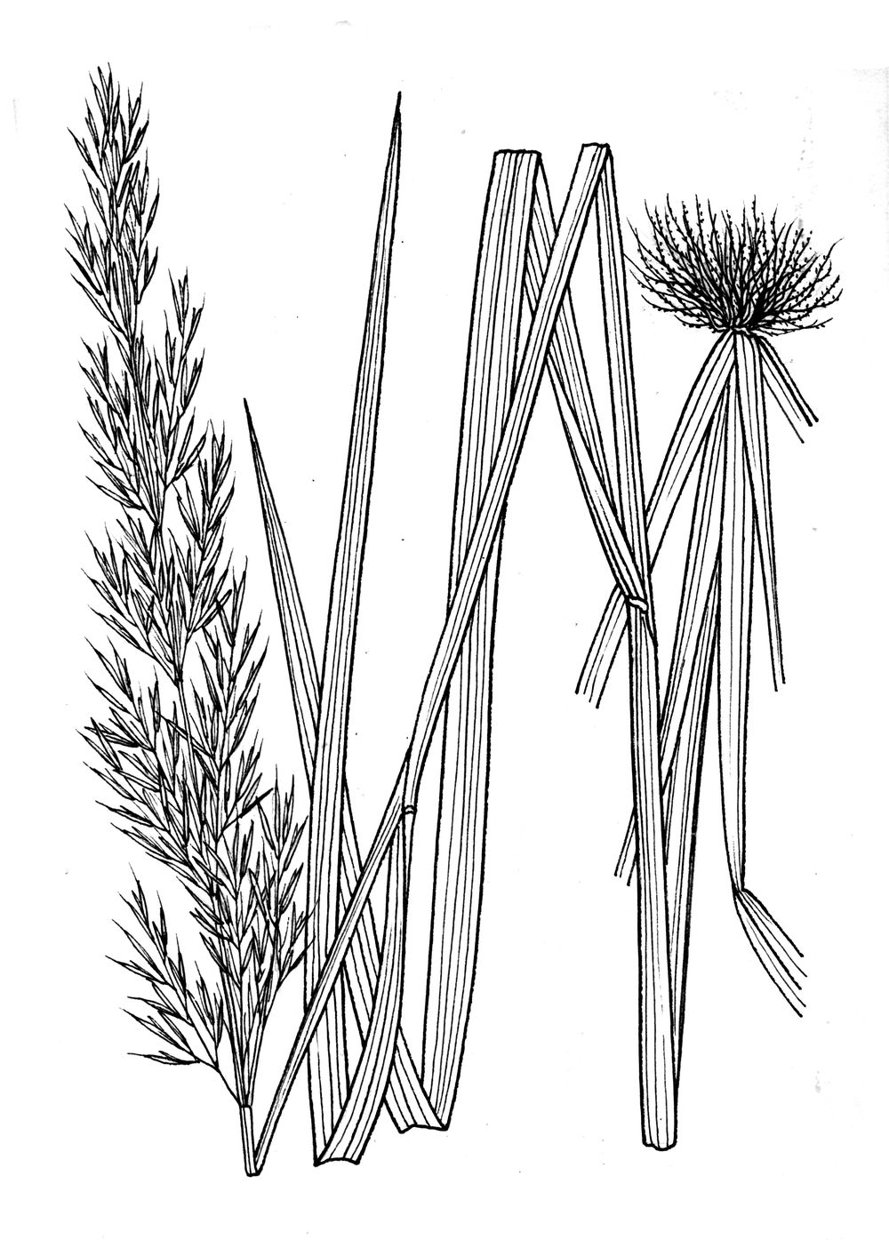 J1866.jpg