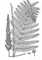 J0001.jpg J0001.jpg