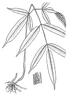 J0005.jpg J0005.jpg