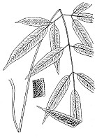 J0006.jpg J0006.jpg