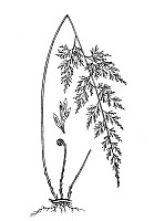 J0007.jpg J0007.jpg