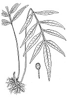 J0008.jpg J0008.jpg