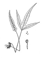 J0009.jpg J0009.jpg