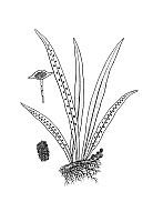 J0012.jpg J0012.jpg