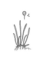 J0016.jpg J0016.jpg