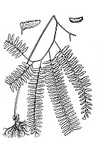 J0024.jpg J0024.jpg