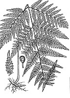 J0026.jpg J0026.jpg