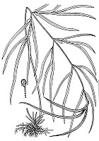 J0029.jpg J0029.jpg