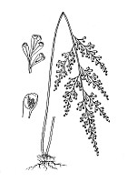 J0031.jpg J0031.jpg