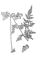 J0033.jpg J0033.jpg