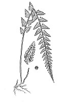 J0034.jpg J0034.jpg