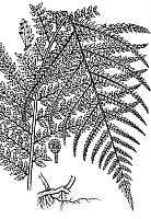 J0035.jpg J0035.jpg