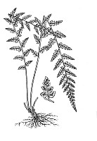 J0041.jpg J0041.jpg