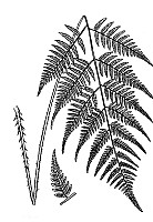J0047.jpg J0047.jpg