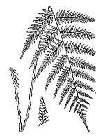 J0052.jpg J0052.jpg