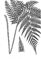 J0053.jpg J0053.jpg
