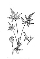 J0062.jpg J0062.jpg