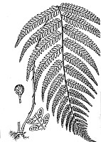 J0065.jpg J0065.jpg