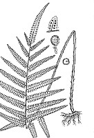 J0066.jpg J0066.jpg