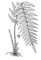 J0070.jpg J0070.jpg