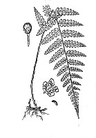 J0075.jpg J0075.jpg