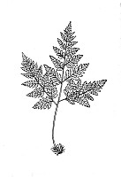 J0084.jpg J0084.jpg