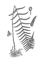 J0098.jpg J0098.jpg