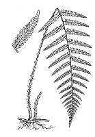 J0100.jpg J0100.jpg