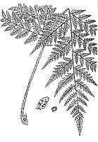J0102.jpg J0102.jpg