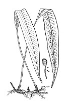 J0103.jpg J0103.jpg