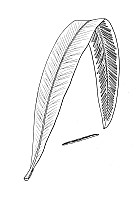 J0104.jpg J0104.jpg
