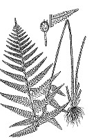J0105.jpg J0105.jpg