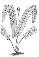 J0107.jpg J0107.jpg
