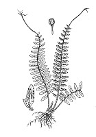J0110.jpg J0110.jpg