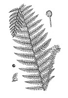 J0111.jpg J0111.jpg