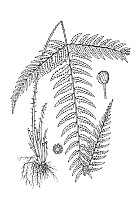 J0114.jpg J0114.jpg